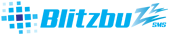 BlitzBuzz SMS Gateway Solutions